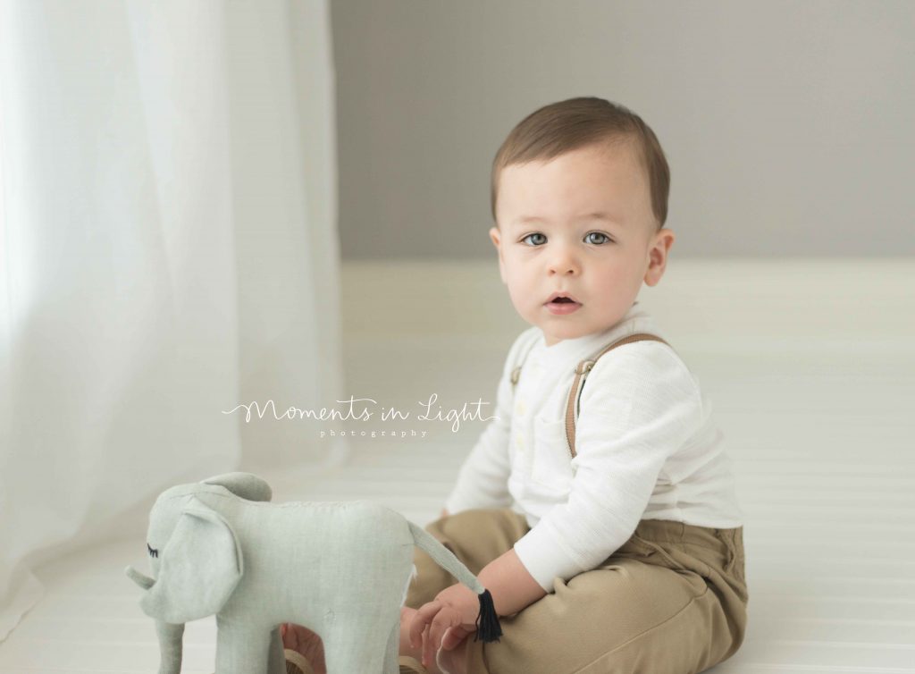 one year old boy with toy elephant in photo studio outside of The Woodlands, TX