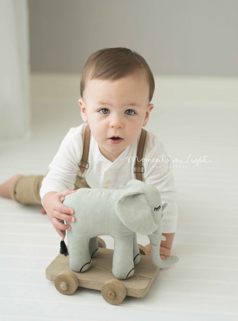 little boy playing with elephant toy in photo studio in Montgomery, TX